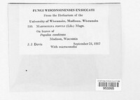 Image Associated With the Occurence
